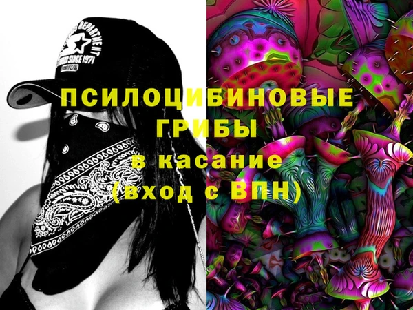 мдпв Алексин