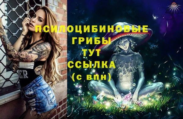 дмт Алексеевка