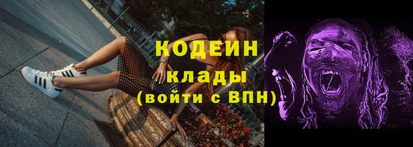 PSILOCYBIN Дмитриев