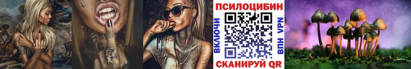 купить  цена  Ревда  Псилоцибиновые грибы мицелий 